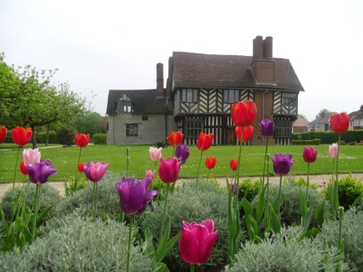 Blakesley Hall and tuplis in the garden